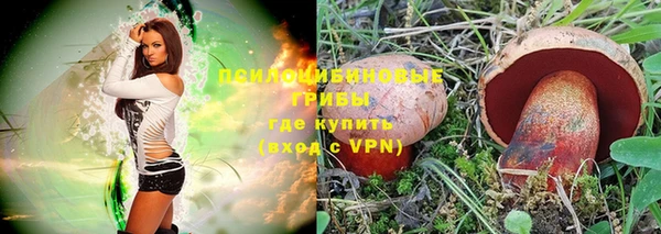 таблы Белокуриха