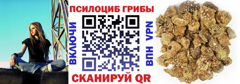 Псилоцибиновые грибы ЛСД  как найти закладки  Корсаков 